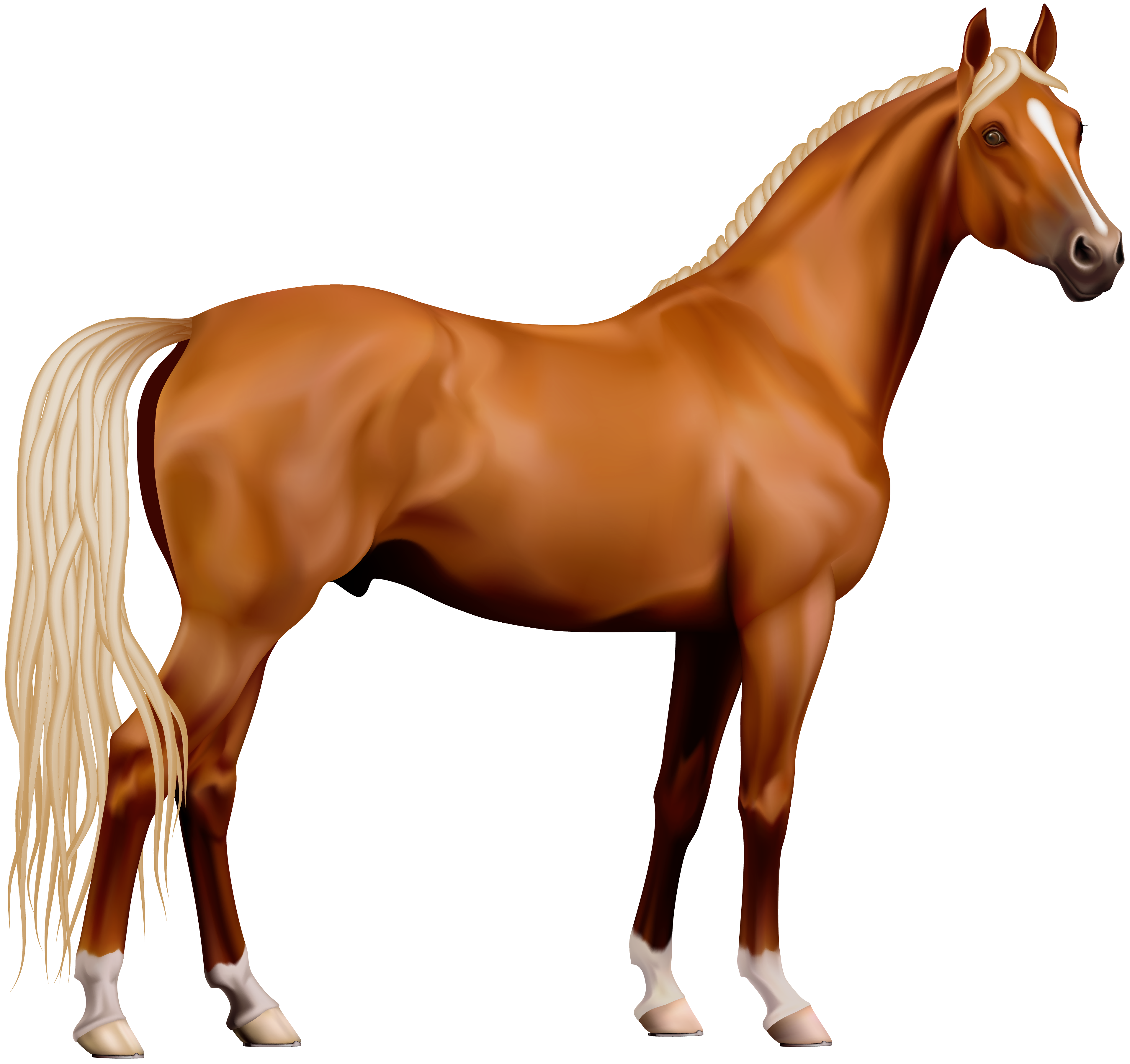 horse background clipart - photo #12